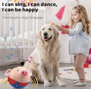 Best pet gift for Christmas! 1